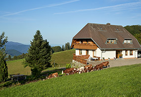 Ferienbauernhof Rotenhof Münstertal Schwarzwald