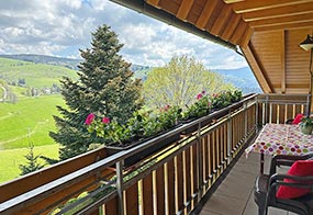 Ferienwohnung "Kuhromantik" - Urlaub auf dem Schwarzwald Bauernhof