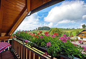 Ferienwohnung "Waldzauber" - Urlaub auf dem Schwarzwald Bauernhof