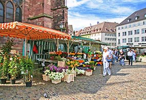 Münstermarkt in Freiburg