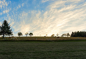 Morgenstimmung im Schwarzwald