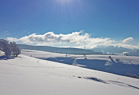 Winter im Schwarzwald