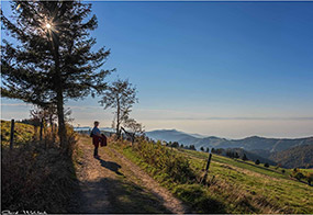 Wandern im Schwarzwald