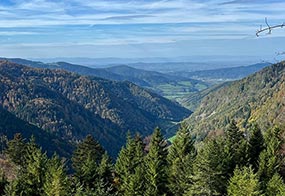 Wanderung mit Weitblick