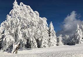 Der Schauinsland im Winter